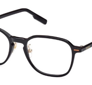 Ermenegildo Zegna EZ5255
